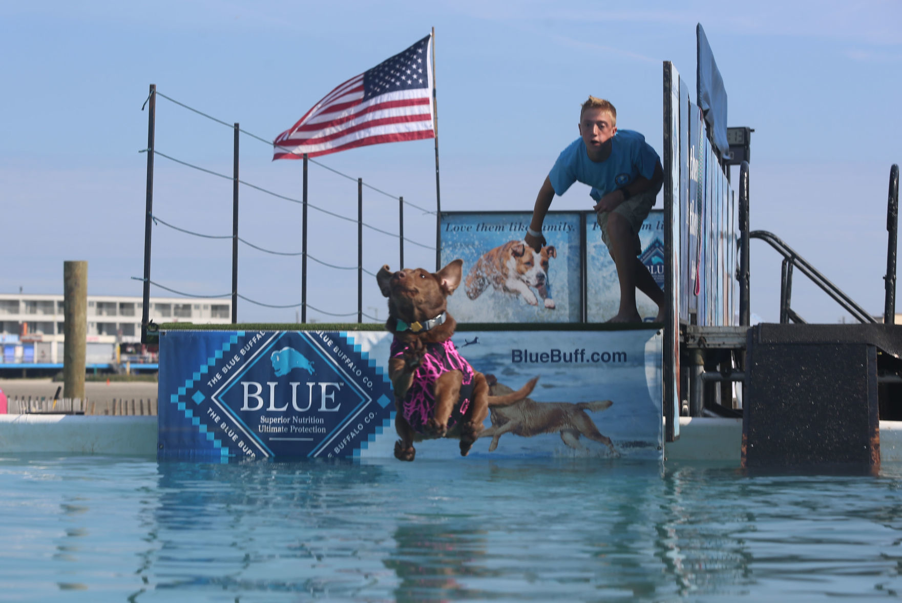090919_gal_dockdogsWW (38)